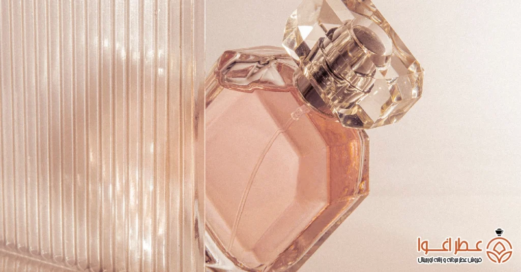 نکات طلایی برای انتخاب بهترین عطر مردانه زنپسند