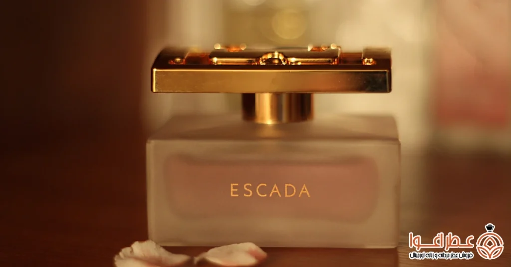 راهنمای انتخاب بهترین عطر برای جذب زنان در سال ۱۴۰۴