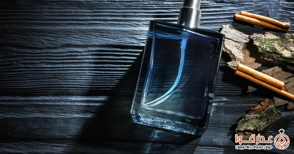 بهترین عطرهای ورساچه: انتخابی بی‌نظیر برای هر سلیقه