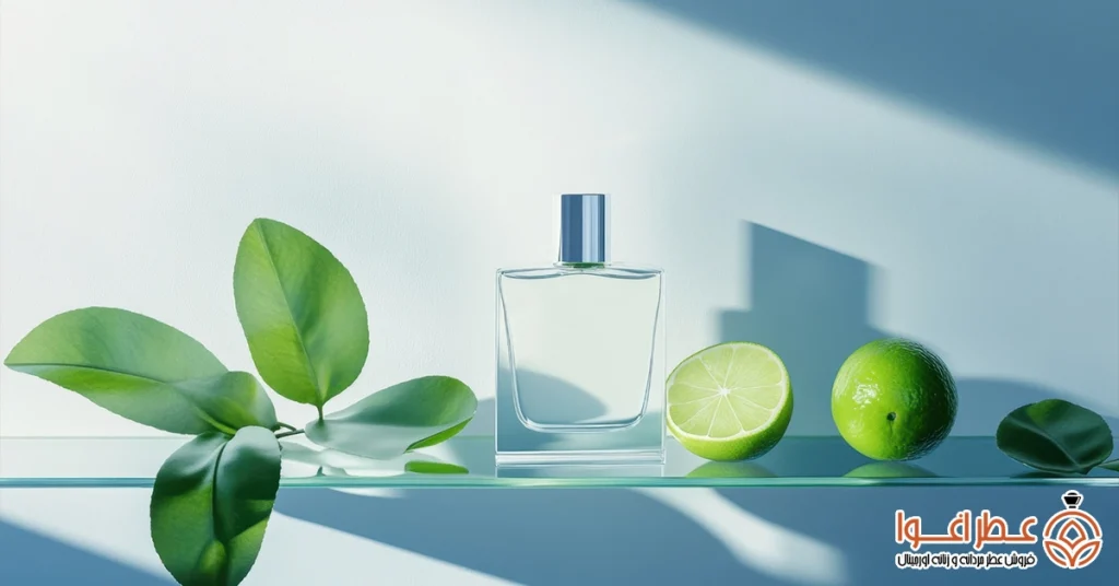 تفاوت عطر گرم و سرد از نظر ترکیبات و رایحه